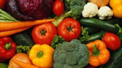 Nutrition